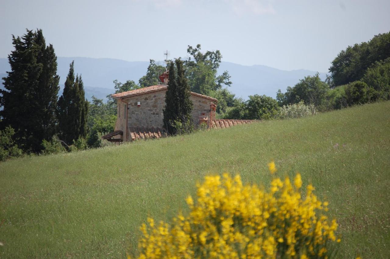 Il Podere Bellavista Montecatini Val di Cecina Buitenkant foto